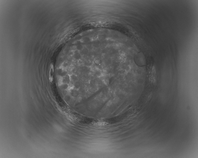 X0000076310695200610201613