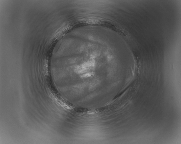 X0000076310696200610201613