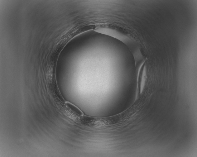 X0000076310697200610201613