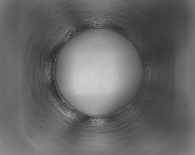 X0000076310698200610201613