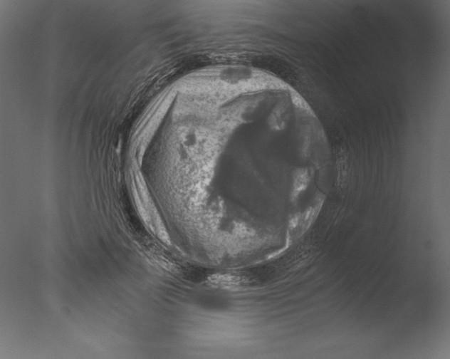 X0000076310699200610201613