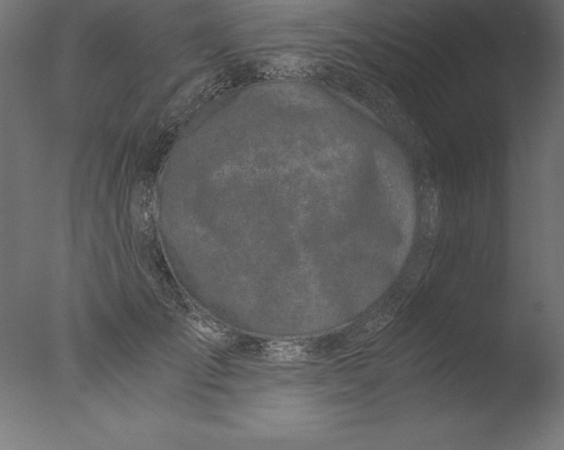 X0000076310701200610201613