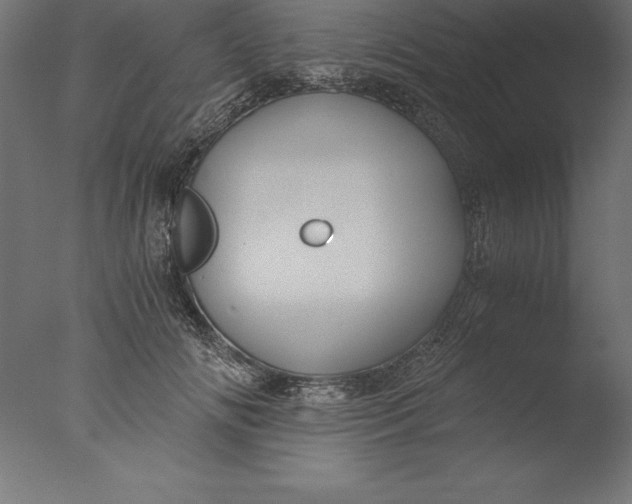 X0000076310702200610201613