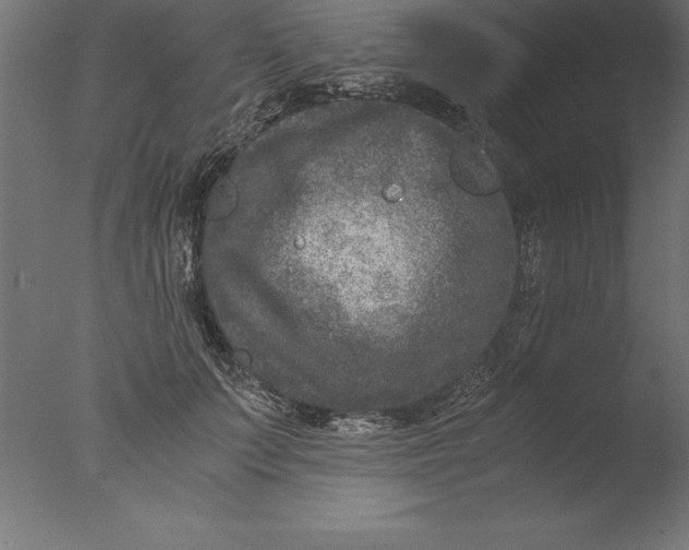 X0000076310703200610201613