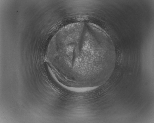 X0000076310704200610201613