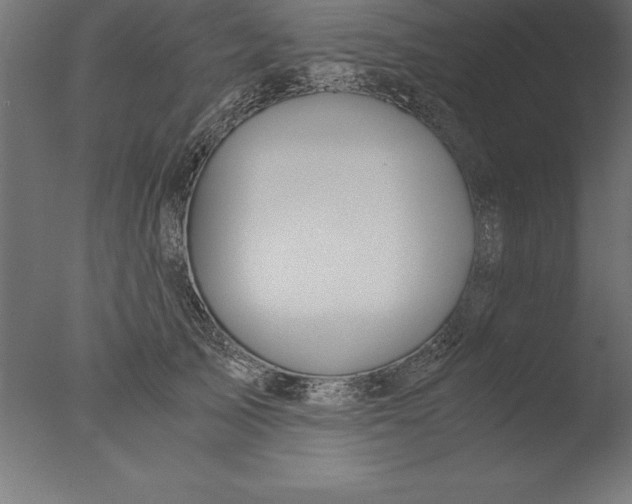 X0000076310705200610201613