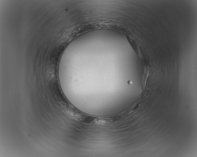 X0000076310706200610201613