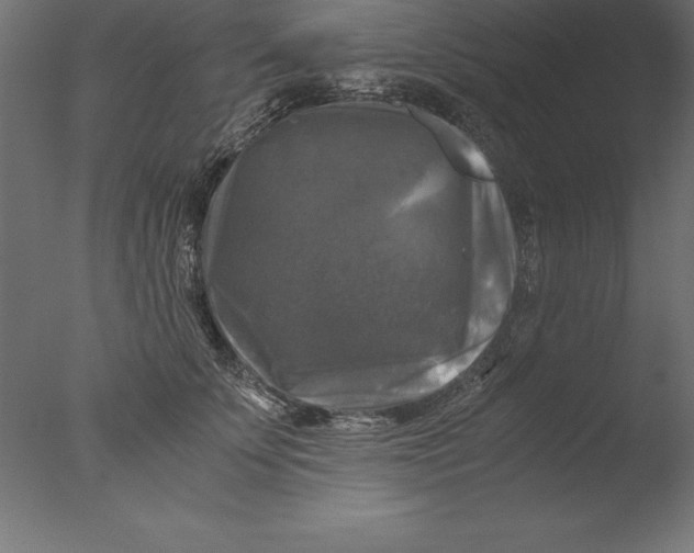 X0000076310707200610201613