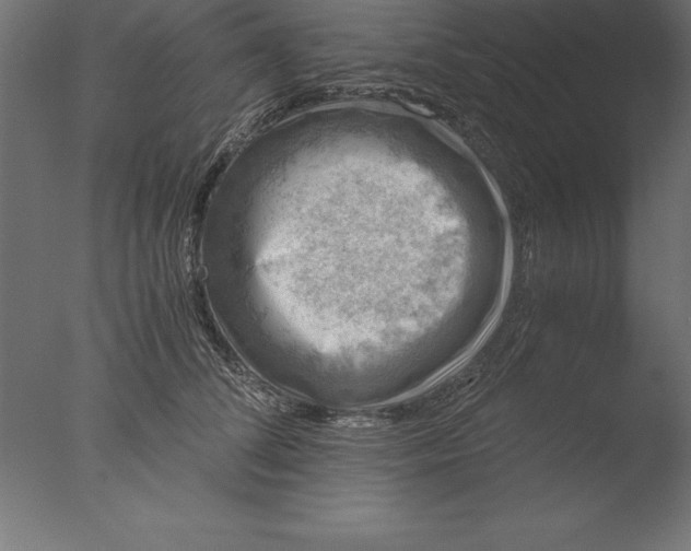 X0000076310708200610201613