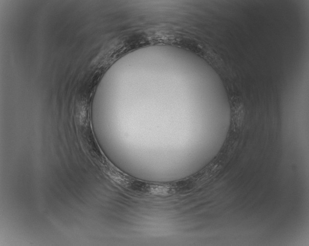 X0000076310709200610201613