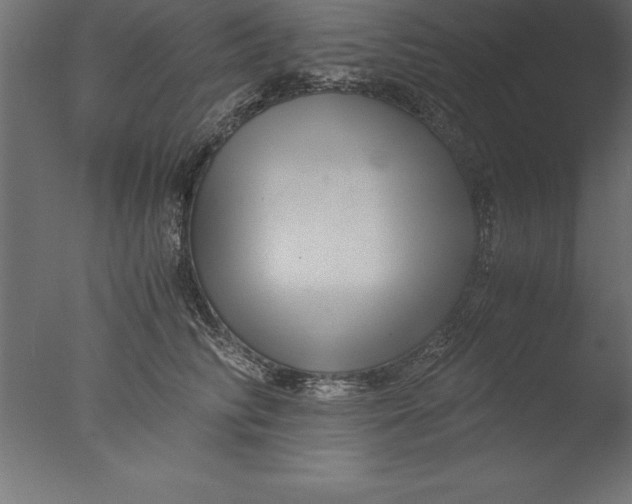 X0000076310710200610201613