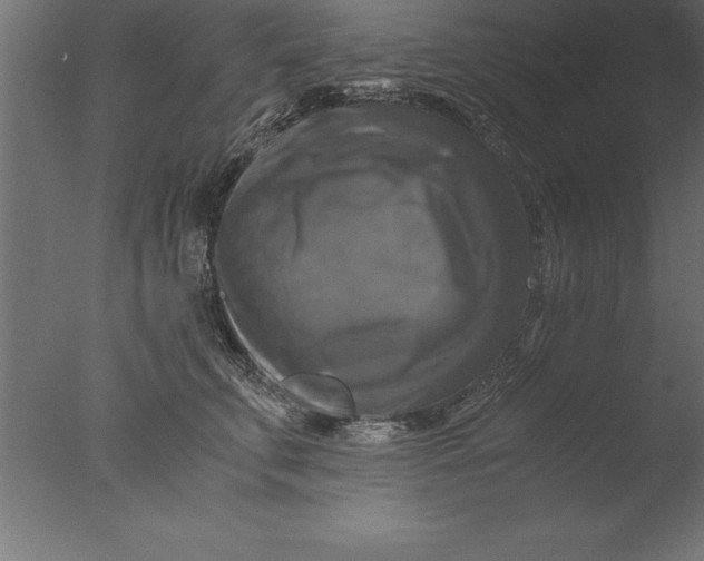 X0000076310711200610201613