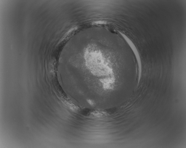 X0000076310712200610201613