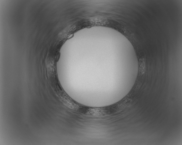 X0000076310713200610201613