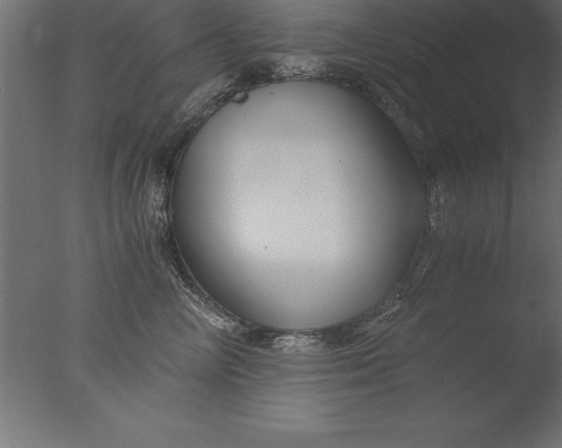 X0000076310714200610201613