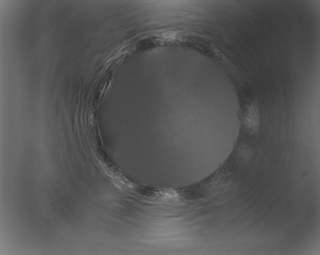 X0000076310715200610201612