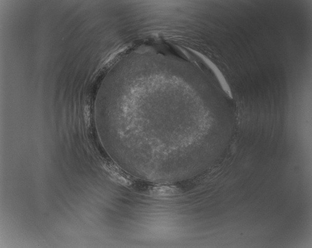 X0000076310716200610201612