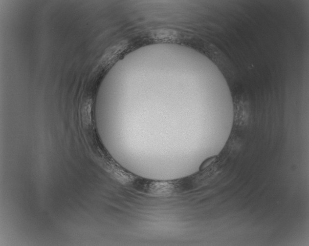 X0000076310717200610201612