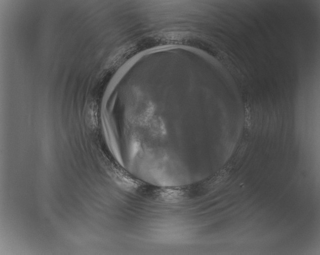 X0000076310718200610201612