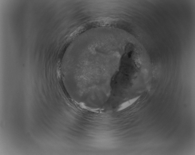 X0000076310719200610201612