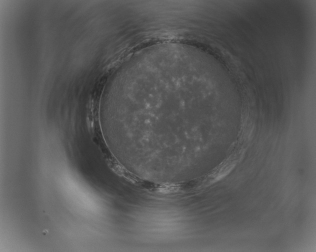 X0000076310720200610201612