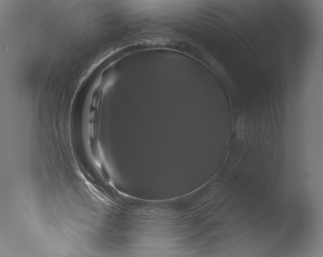 X0000076310722200610201612