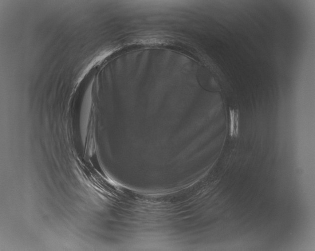 X0000076310723200610201612