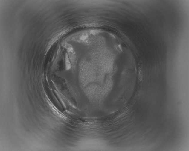 X0000076310725200610201612