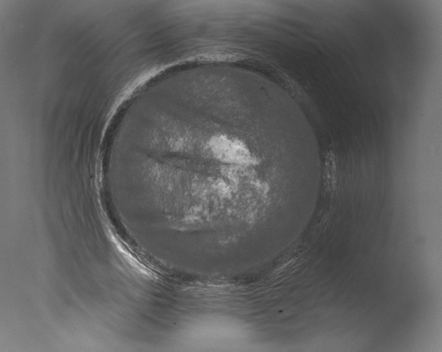 X0000076310726200610201612