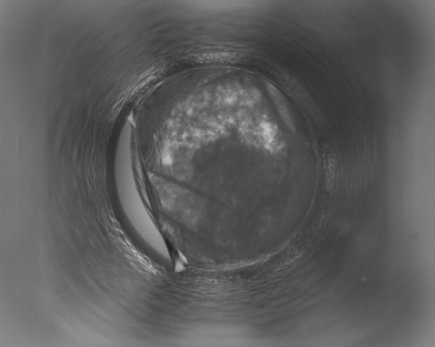 X0000076310729200610201612