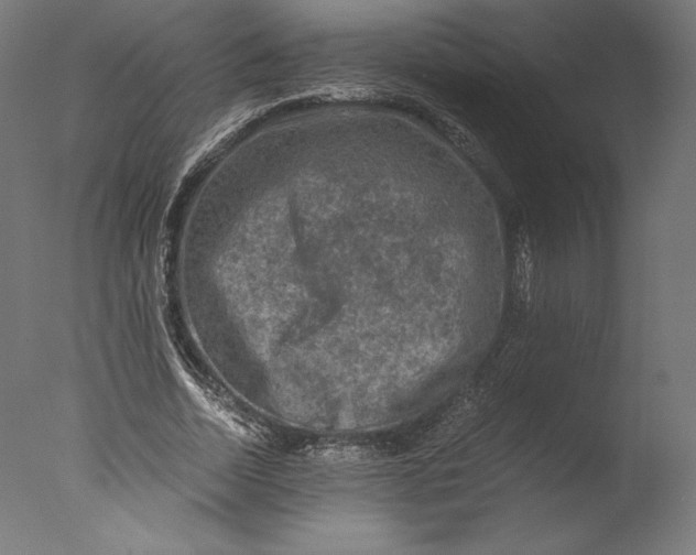 X0000076310730200610201612