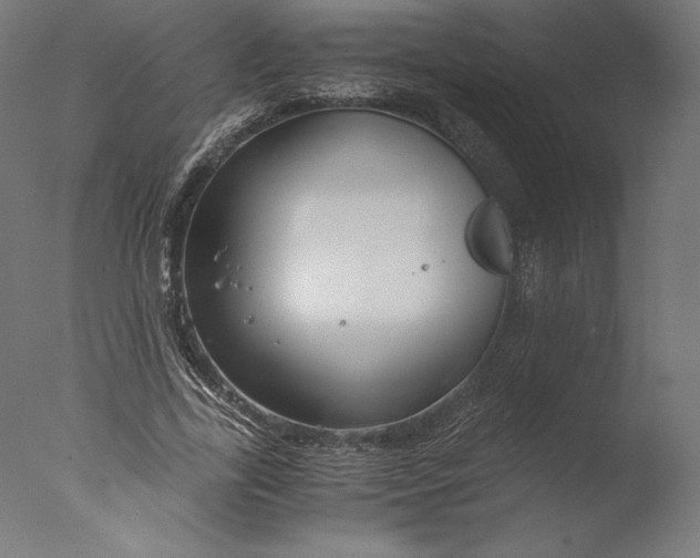 X0000076310731200610201612