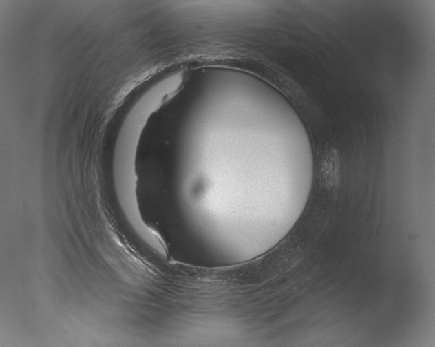 X0000076310732200610201612