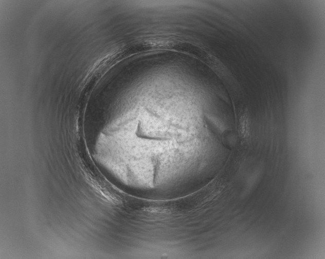 X0000076310733200610201612