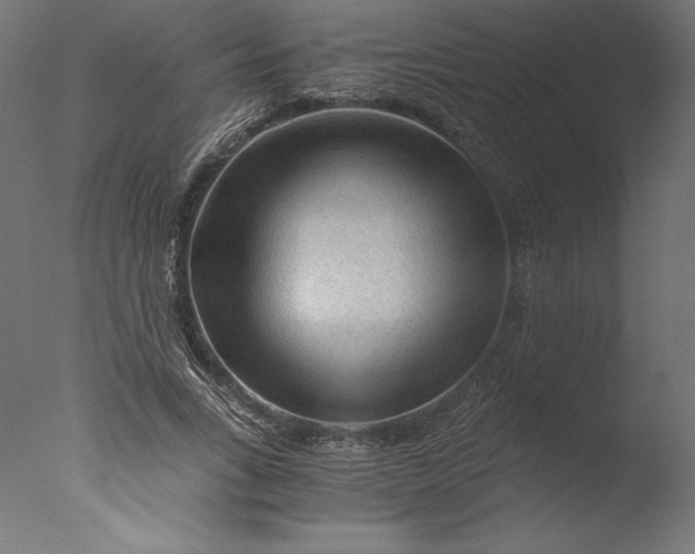 X0000076310735200610201612