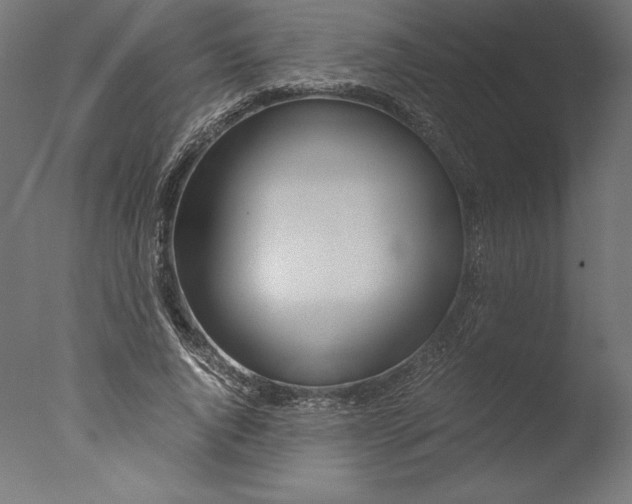 X0000076310736200610201612