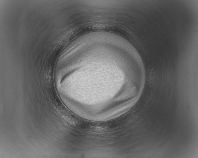 X0000076310737200610201612