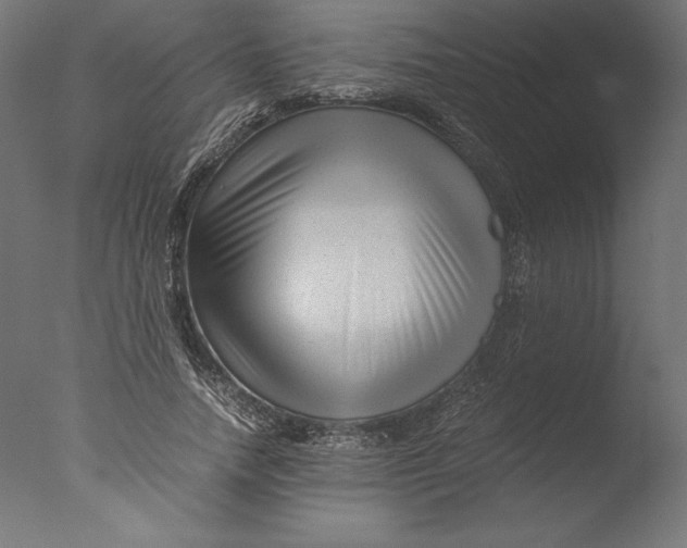 X0000076310738200610201612