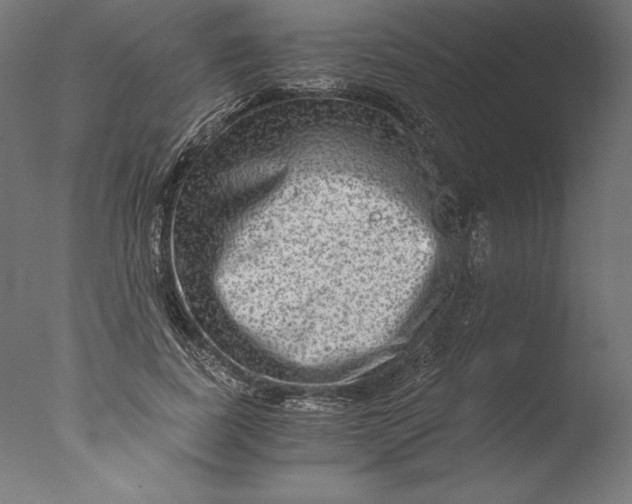 X0000076310739200610201612