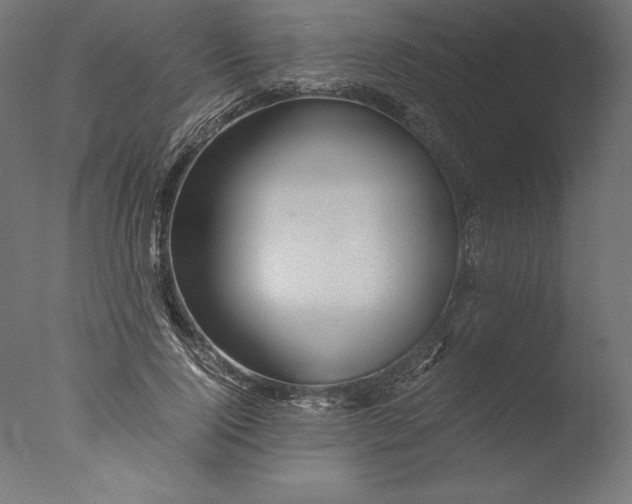 X0000076310740200610201612