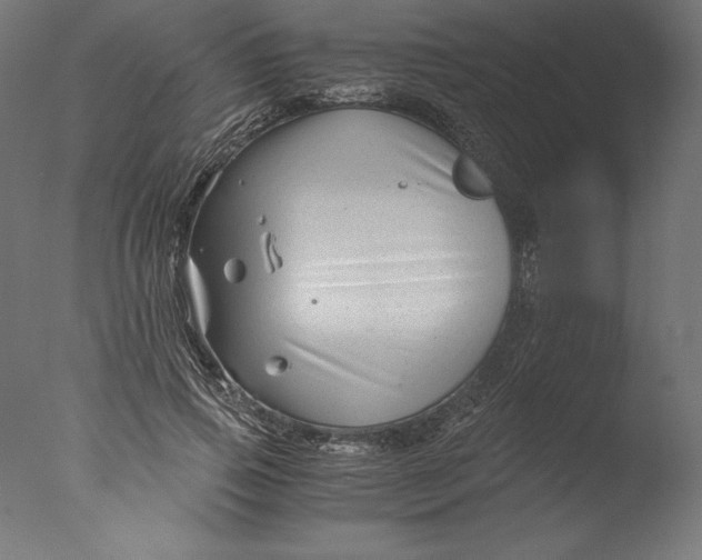 X0000076310741200610201612