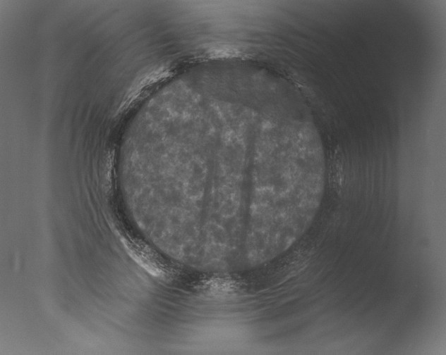 X0000076310742200610201612