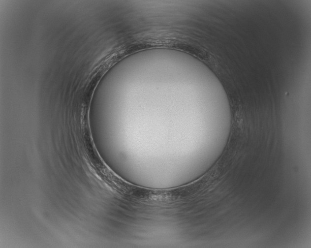 X0000076310744200610201612