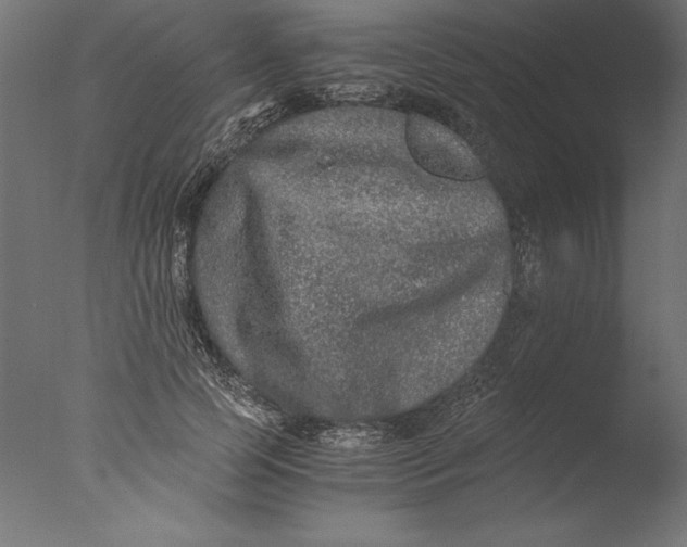 X0000076310745200610201612