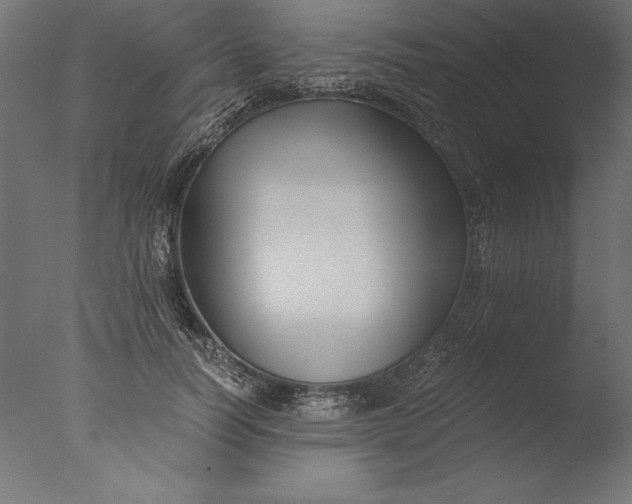 X0000076310746200610201612