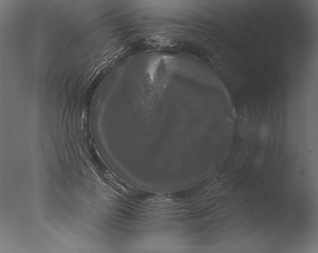 X0000076310747200610201612