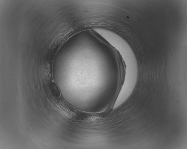 X0000076310748200610201612