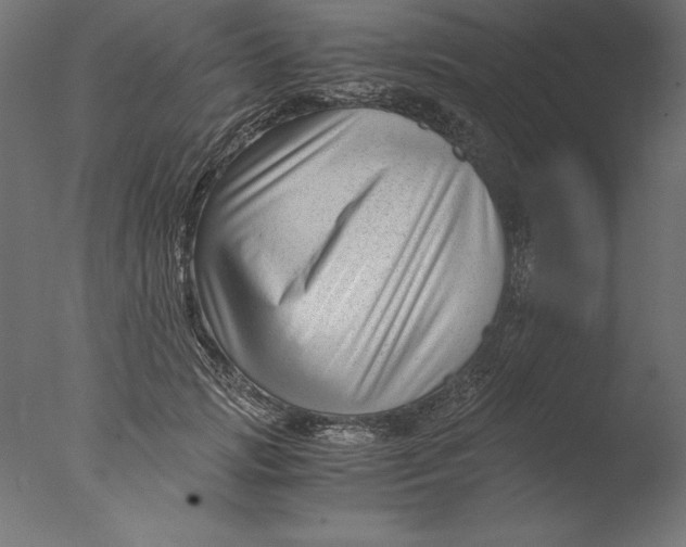 X0000076310749200610201612