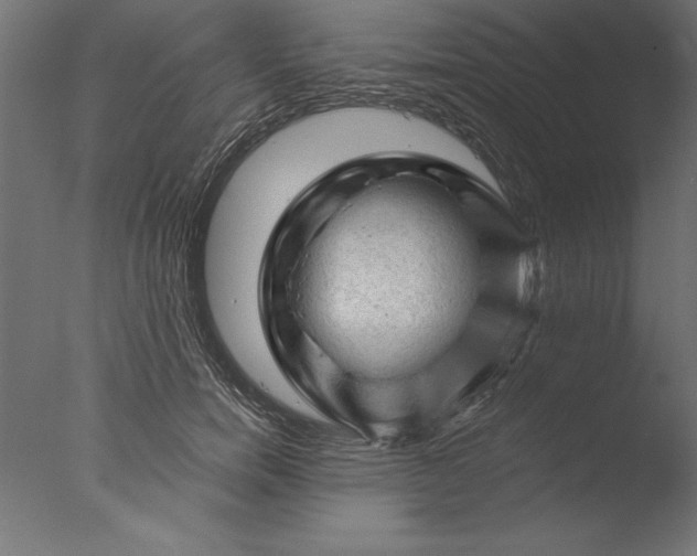 X0000076310750200610201612