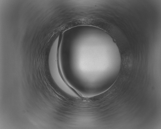 X0000076310752200610201612